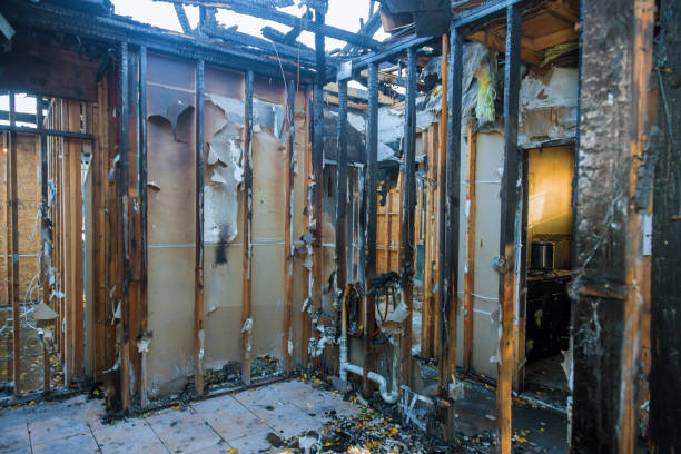 Professional Emergency Fire Cleanup technician working in Dunedin, FL