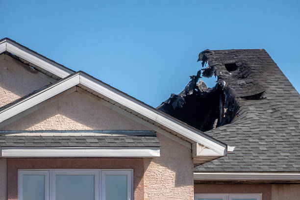 Top rated local Emergency Fire Cleanup specialists in Dunedin, FL